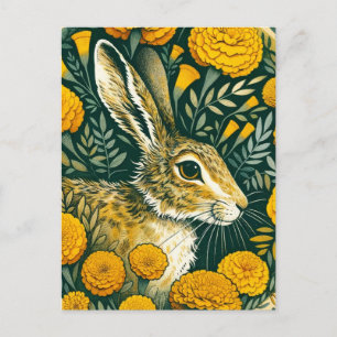 Hare Marigold                                      Postcard