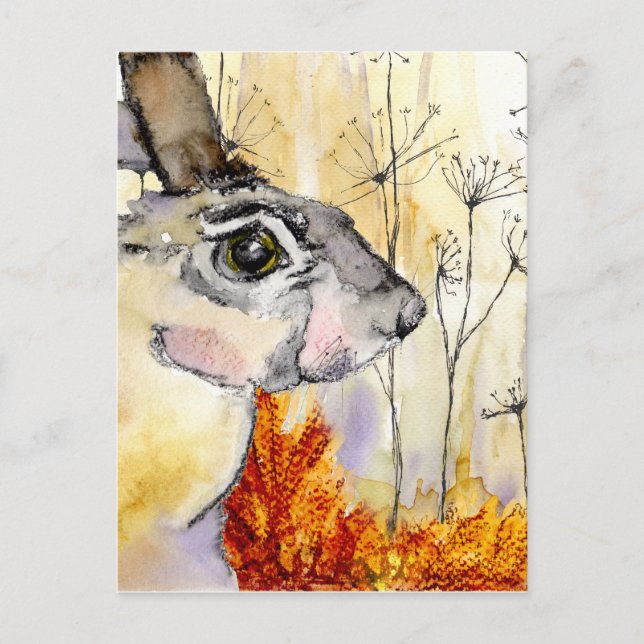 Hare post card (a426) (Front)