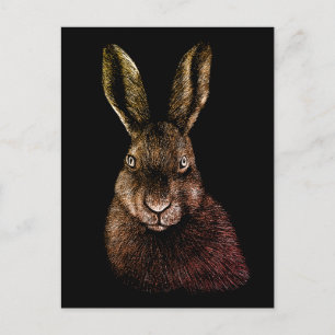 Hare, rabbit, drawing postcard