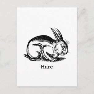 Hare (rabbit) postcard