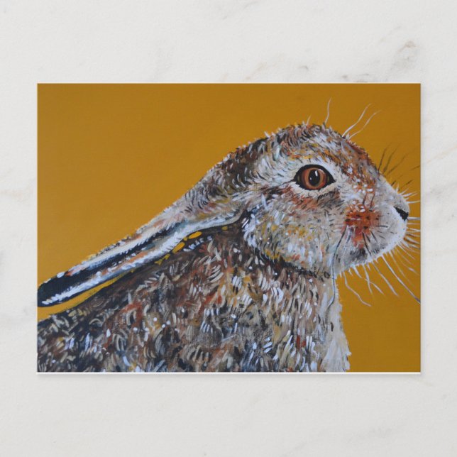 Hare we go again. postcard (Front)