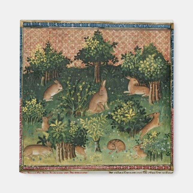 Hares in a Wood Magnet (Front)