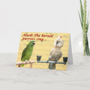 Hark the Parrots Holiday Card