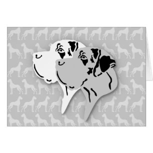 Harlekin and Merle Dane Heads