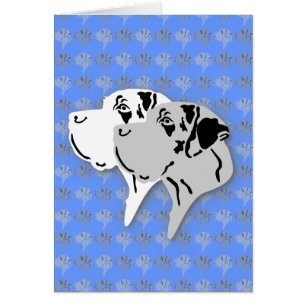 Harlekin and Merle Dane Heads