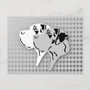 Harlekin and Merle Dane Heads Postcard