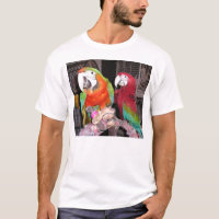 Harlequin And Scarlet Macaws