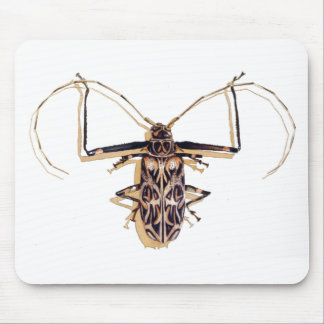"Harlequin beetle" Insect Watercolor Bug Mouse Pad