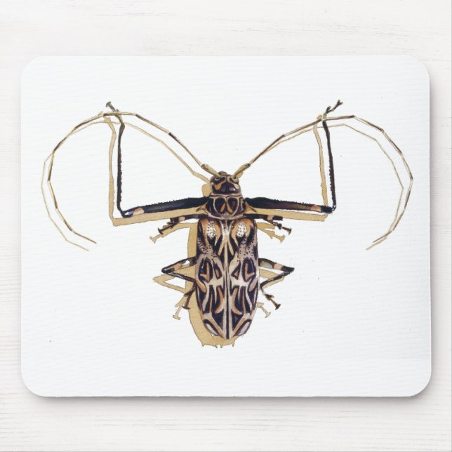 "Harlequin beetle" Insect Watercolor Bug Mouse Pad (Front)
