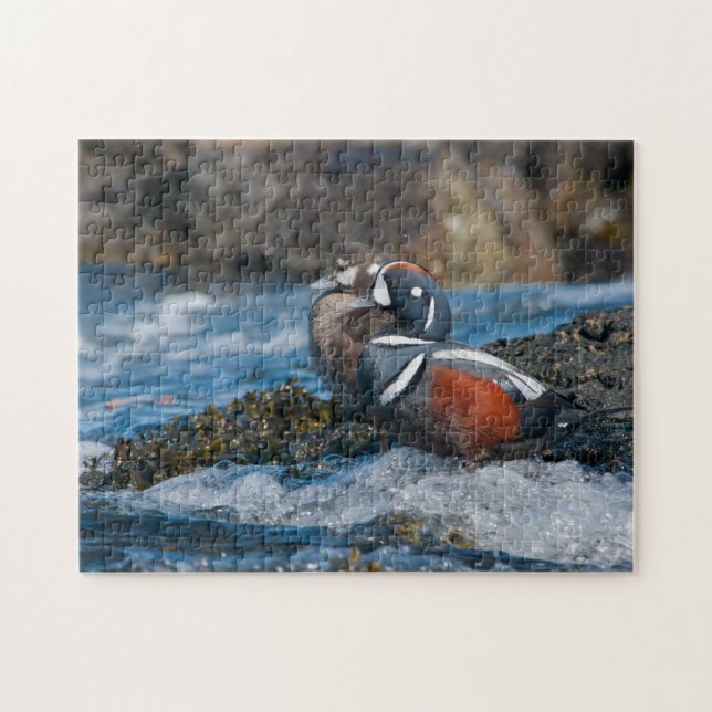 Harlequin Duck in ocean surf Jigsaw Puzzle (Horizontal)
