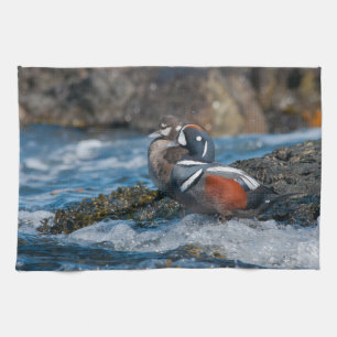 Harlequin Duck in ocean surf Kitchen Towel