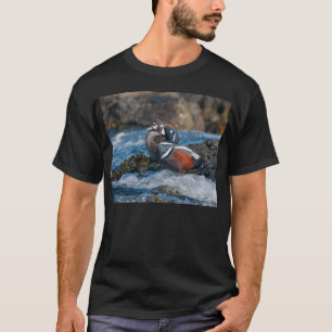 Harlequin Duck in ocean surf T-Shirt