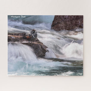 Harlequin Duck Jigsaw Puzzle