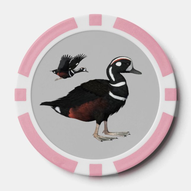 Harlequin Duck Poker Chips (Front)