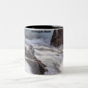 Harlequin Duck Two-Tone Coffee Mug