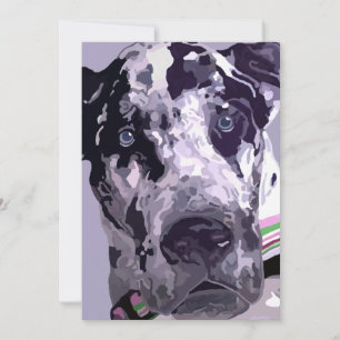Harlequin Great Dane Card-great price!