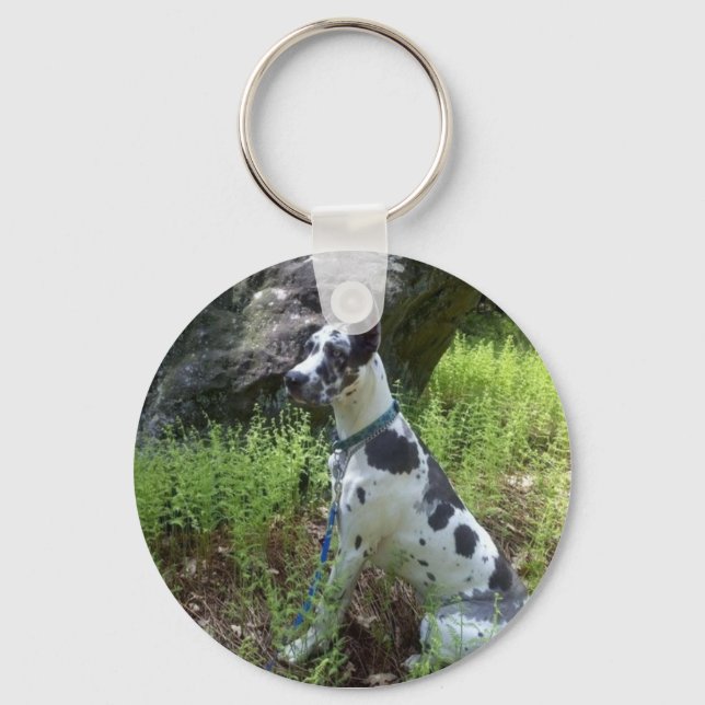 Harlequin Great Dane Keychain (Front)