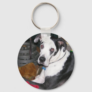 Harlequin Great Dane Keychain