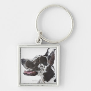 Harlequin Great Dane Keychain