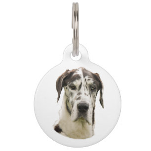 Harlequin Great Dane Pet Portrait Pet Tag