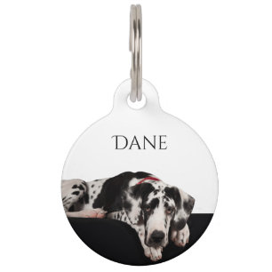 Harlequin Great Dane Pet Tag