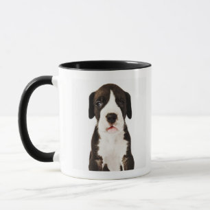 Harlequin Great Dane puppy on white background Mug