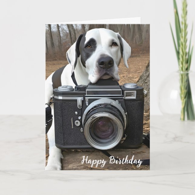 Harlequin Great Dane With Camera Card (Front)