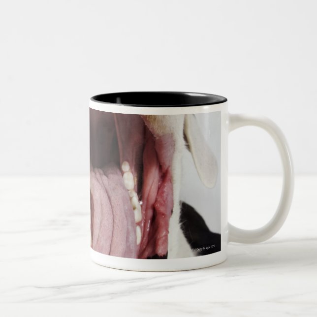 Harlequin Great Dane with open mouth, close-up, Two-Tone Coffee Mug (Right)