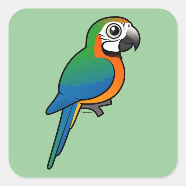 Harlequin Macaw Square Sticker (Front)