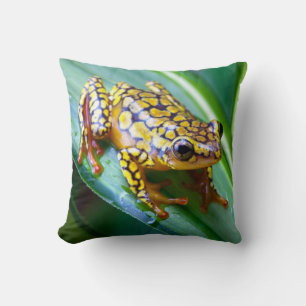 Harlequin Poison Dart Frog Throw Pillow