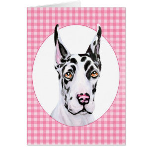 Harlequin Pup Pink Check