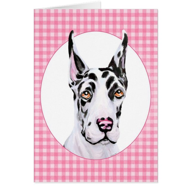Harlequin Pup Pink Check (Front)