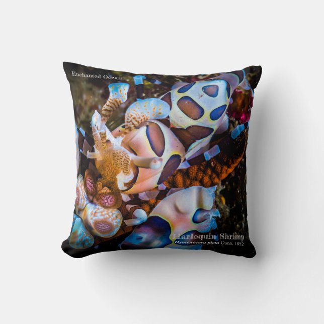 Harlequin Shrimp, Hymenocera picta, Throw Pillow (Front)