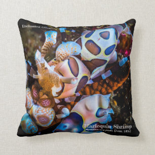 Harlequin Shrimp, Hymenocera picta, Throw Pillow