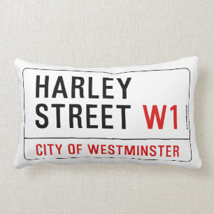 Harley Street Lumbar Pillow