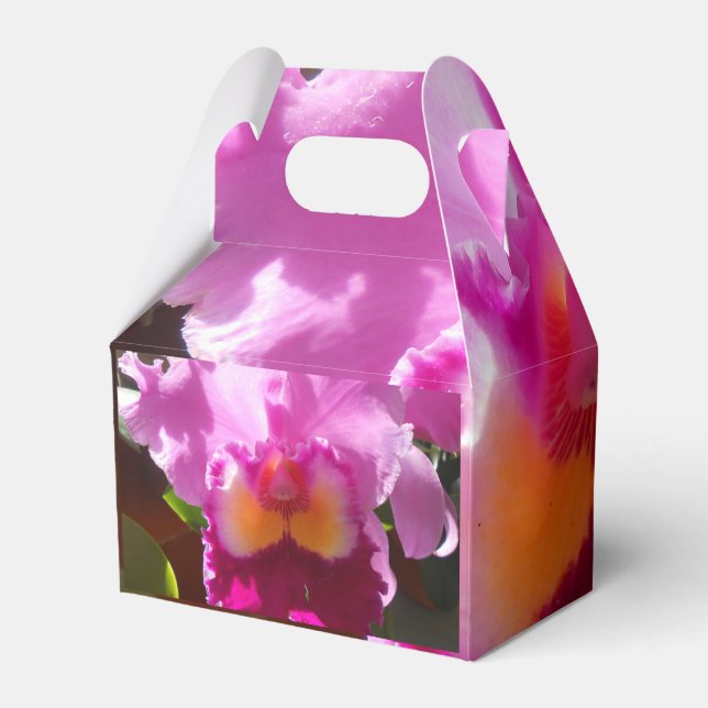 Harlinde Favor Box (Back Side)