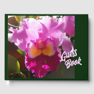 Harlinde Guest Book