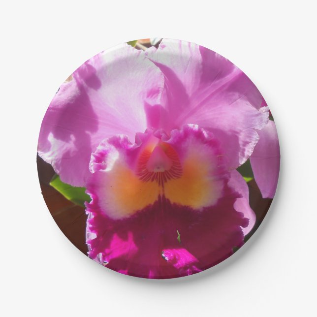 Harlinde Paper Plate (Front)