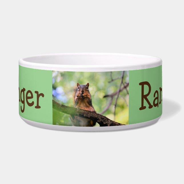 Harmonica squirrel (Front)