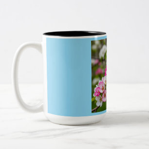 Harmonious Balance Mug