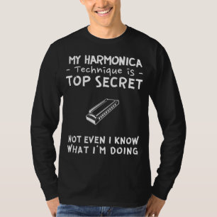 Harmonize the Mystery of My Harmonica Skills Top