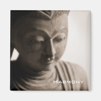 Harmony • Magnet