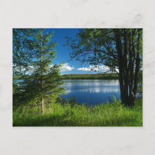 Harmony Postcard