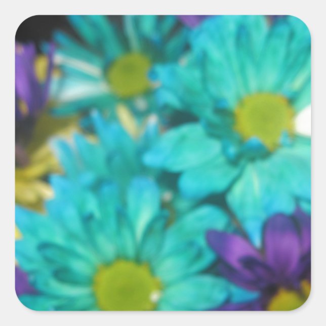 Harmony Square Sticker (Front)