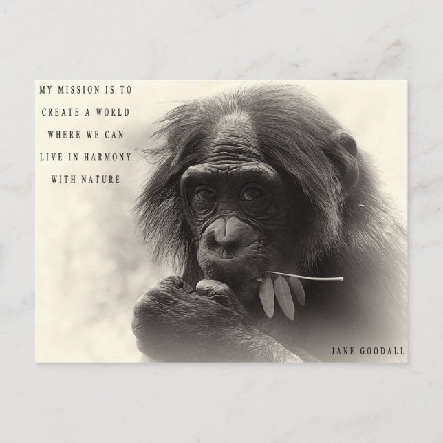 Harmony With Nature Postcard (Front)