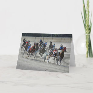 Harnais Racing La Dernière carte de virage