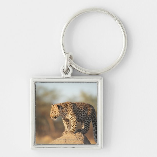 Harnas Wildlife Sanctuary, Namibia Keychain (Front)