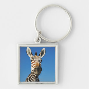Harnas Wildlife Sanctuary, Namibia, Southern Keychain