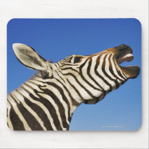 Harnas Wildlife Sanctuary, Namibia, Southern Mouse Pad