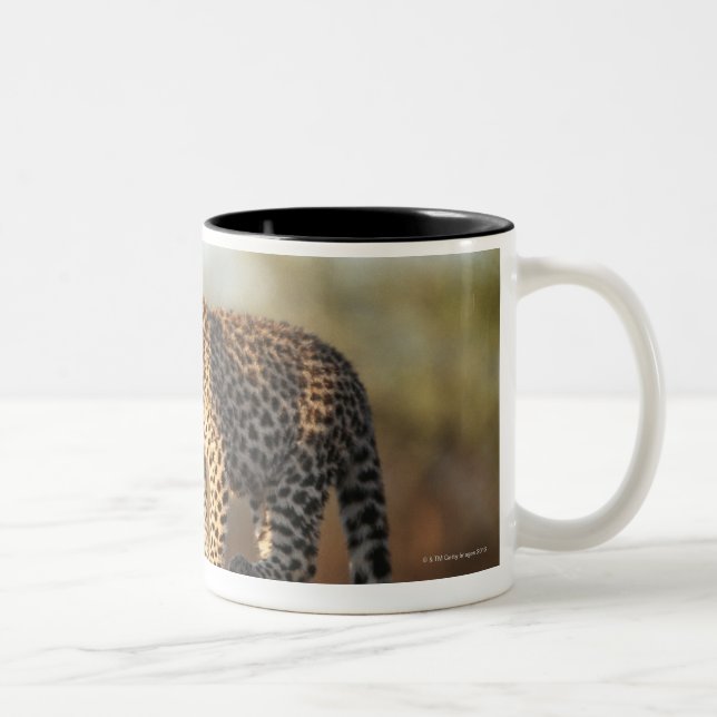Harnas Wildlife Sanctuary, Namibia Two-Tone Coffee Mug (Right)